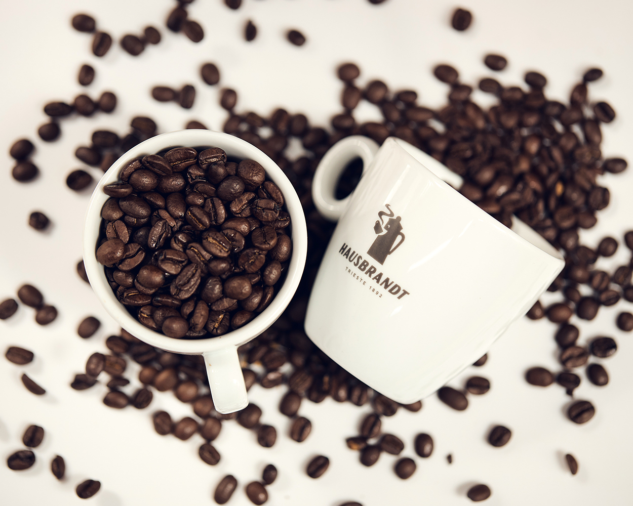 product logo